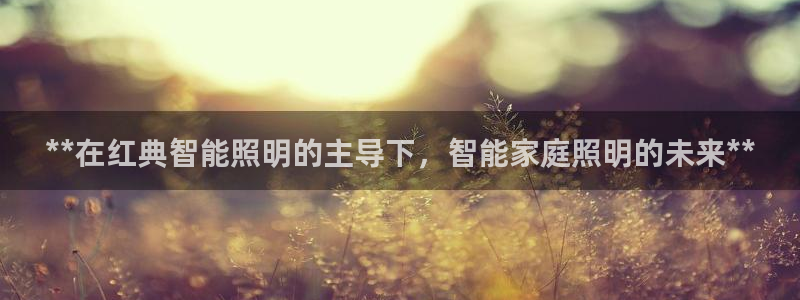 云顶国际测试服免费