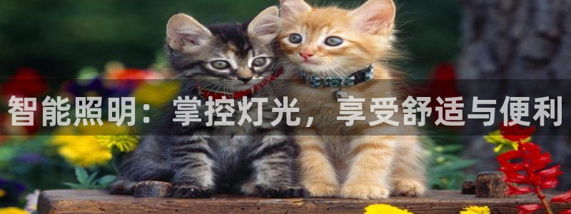 云顶国际平台为什么提现不了呢