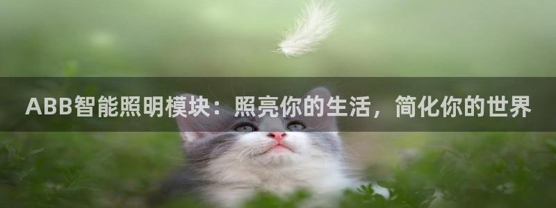 云顶国际KTV