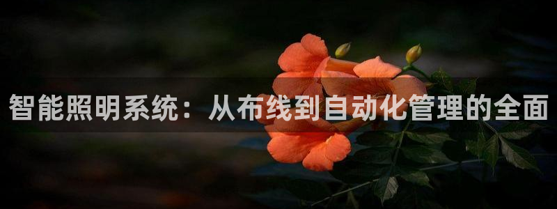 云顶国际怎么才能提现