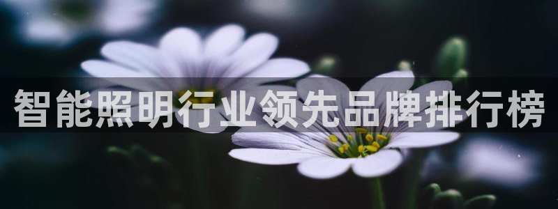 云顶集团网站app下载安装
