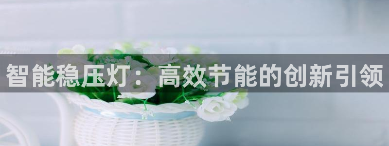 云顶国际软件官网下载