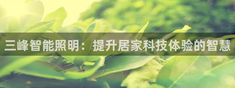 云顶国际--行业领导品牌
