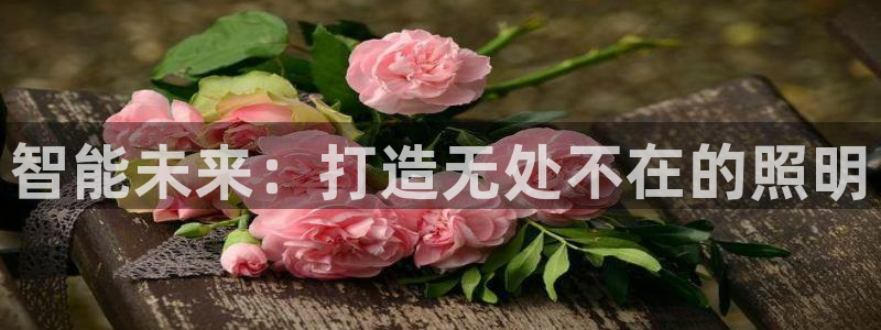 云顶集团3118app功能