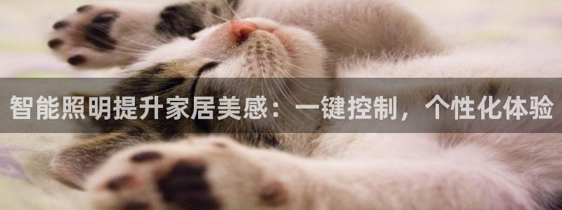 云顶国际官网下载安装