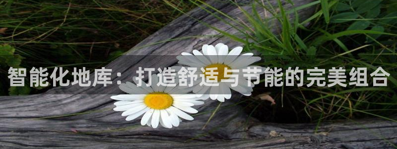 最新版云顶攻略