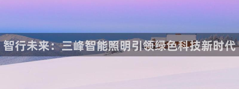 云顶集团网投领头