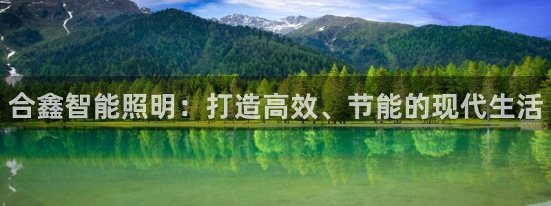 云顶集团林致华
