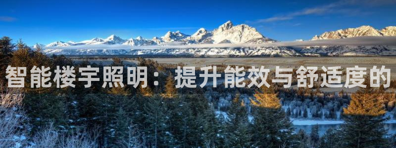 云顶app官网