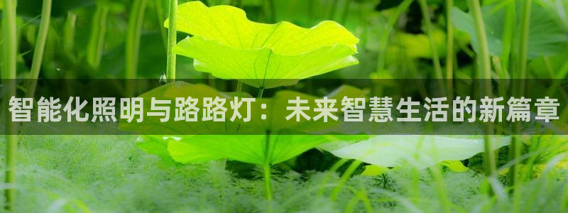 云顶国际会所是干嘛的地方啊