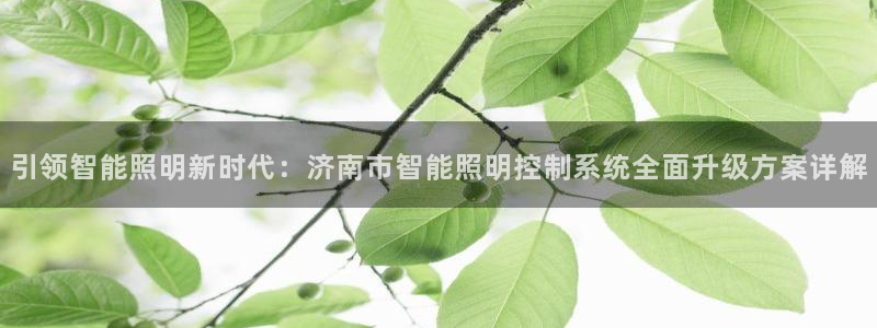 云顶集团老板是谁