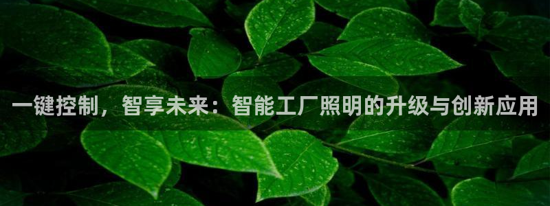 官方云顶国际网站下载