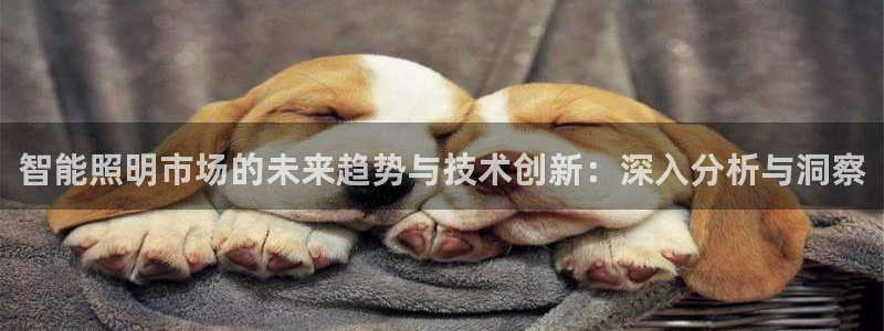 云顶国际服s9赛季什么时候出的