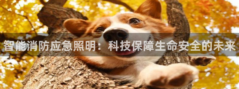 云顶com