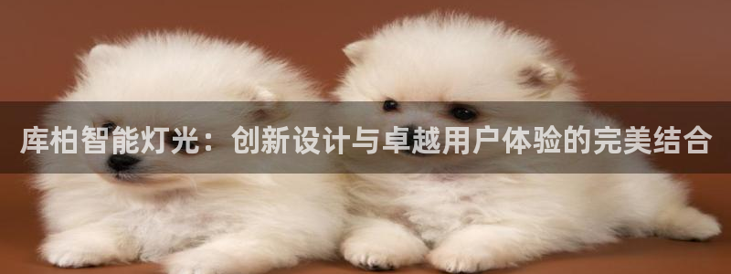 yd2333云顶电子游戏网址多少呢?