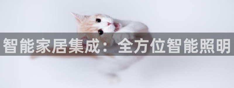 云顶国际游戏