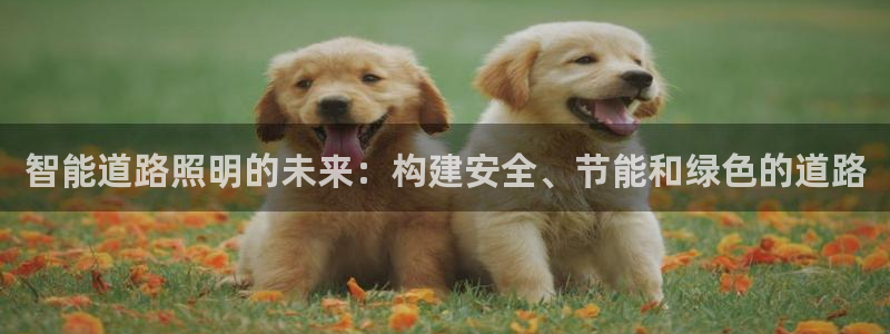 云顶国际官网官方下载
