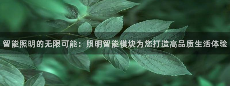云顶国际商务会所地址