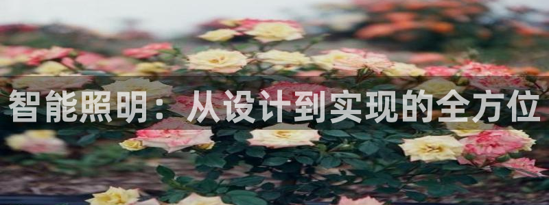 云顶国际服自定义