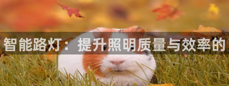云顶国际大厦在什么地方