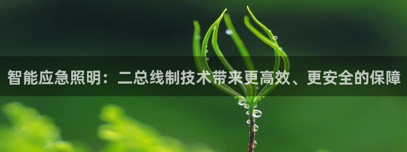 云顶国际公馆怎么样